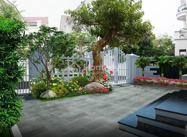 Cây lộc vừng
