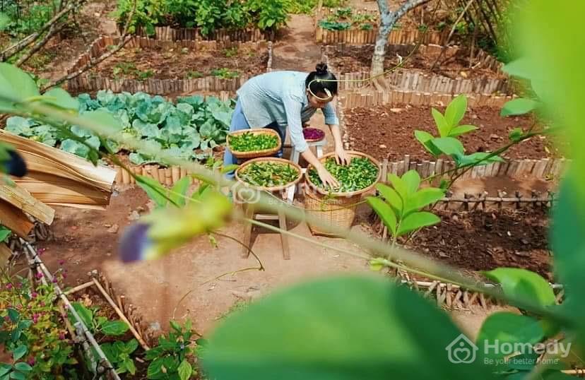 Xu hướng “bỏ phố về vườn” tác động trực tiếp đến giá đất vườn hiện nay