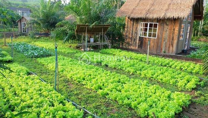 Giá đất vườn hiện nay có đang quá cao