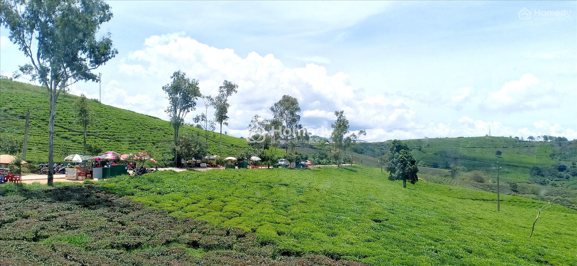 Giá đất ở nông thôn Bảo Lộc
