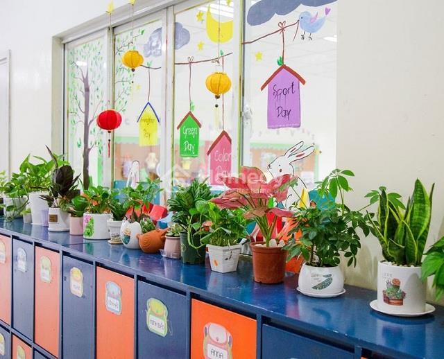 trang trí cửa sổ lớp học bằng cây xanh