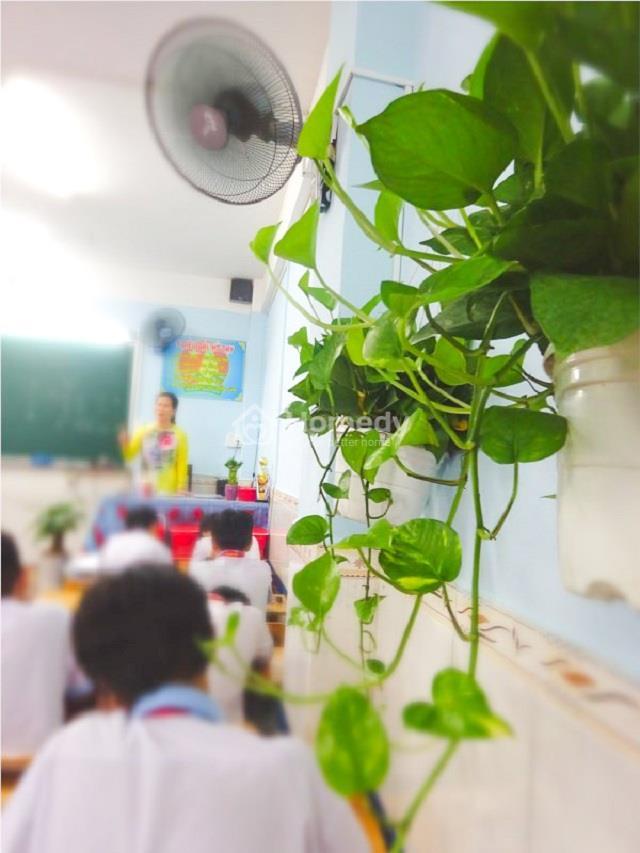 trang trí cửa sổ lớp học bằng cây xanh