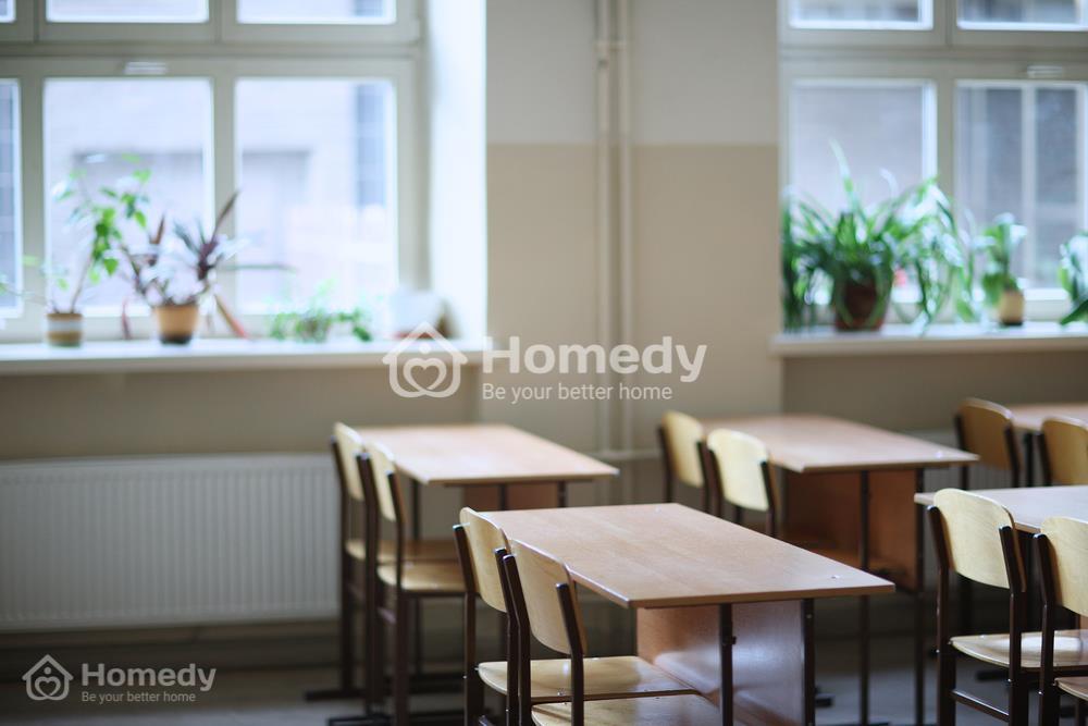 trang trí cửa sổ lớp học bằng cây xanh