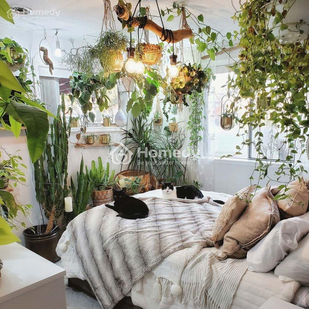 cách sắp xếp phòng ngủ nhỏ
