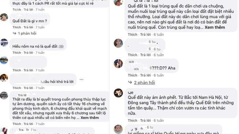 quế đất là gì