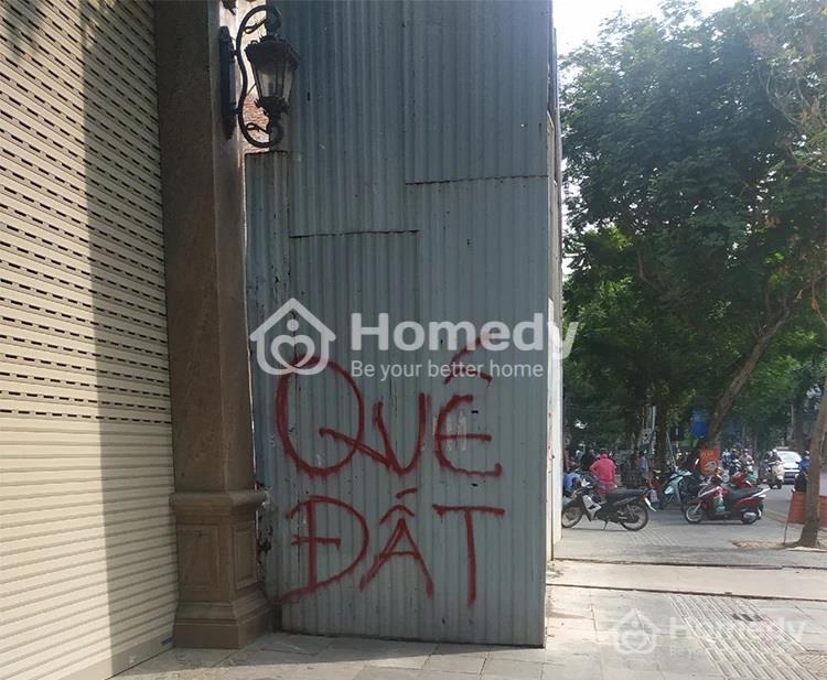 Tìm hiểu quế đất là gì?
