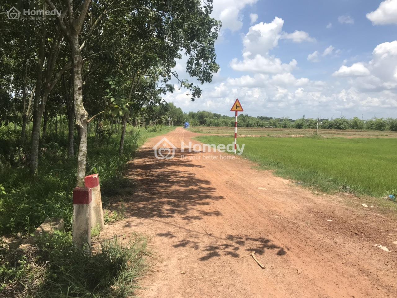 Mua bán đất Tây Ninh khoảng 200 triệu