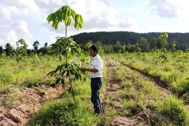 giá đền bù đất 50 năm