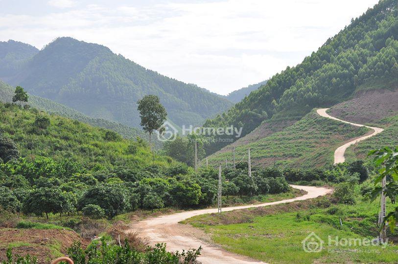 đất rsx là gì