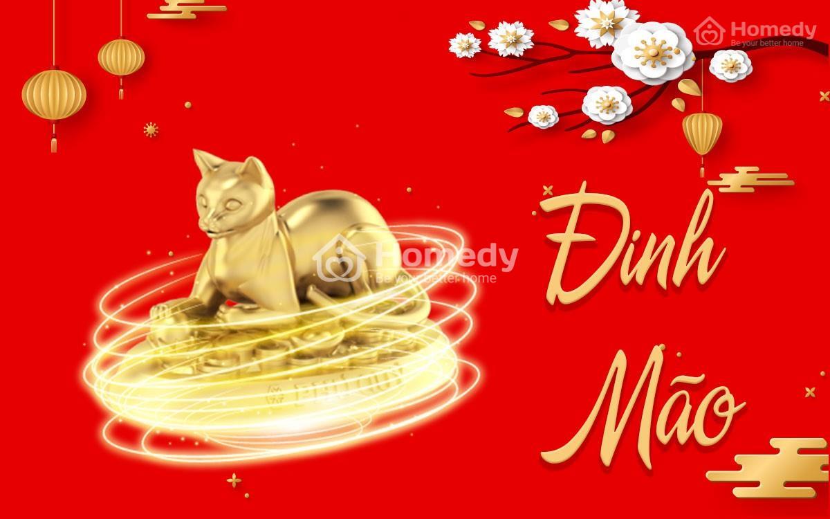 hướng bếp tuổi đinh mão 
