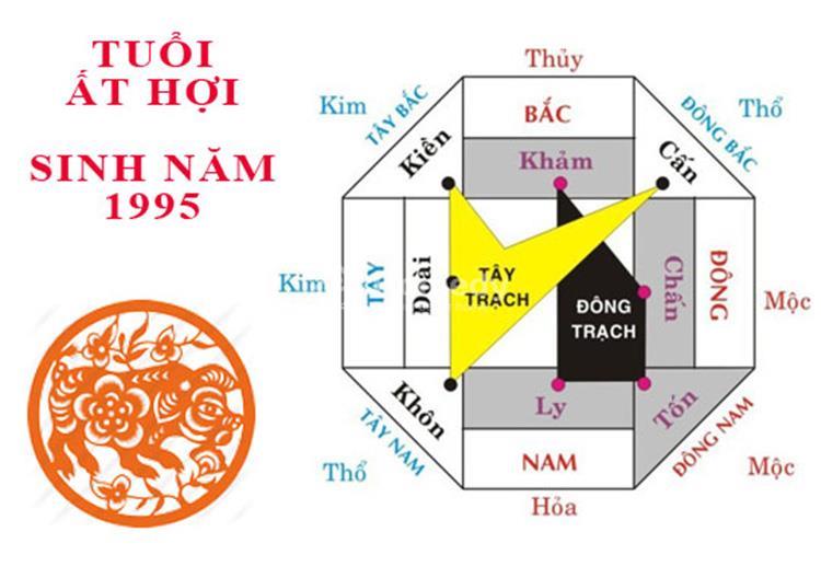 1995 hợp hướng nào