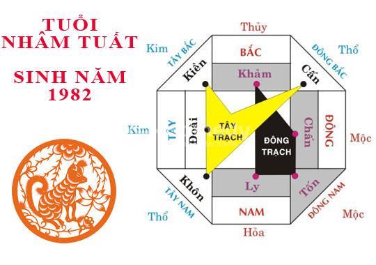 1982 hợp hướng nào