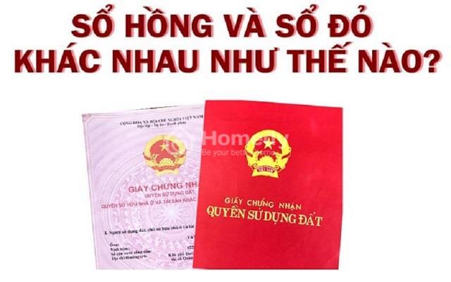 so-do-va-so-hong-2
