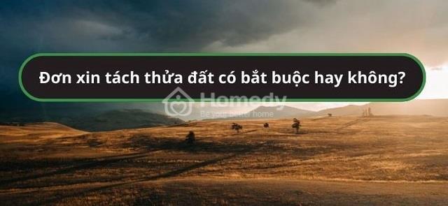 mau-don-xin-tach-thua-dat-2