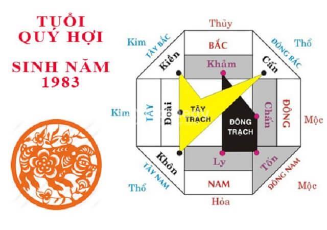 1983-hop-huong-nao-3