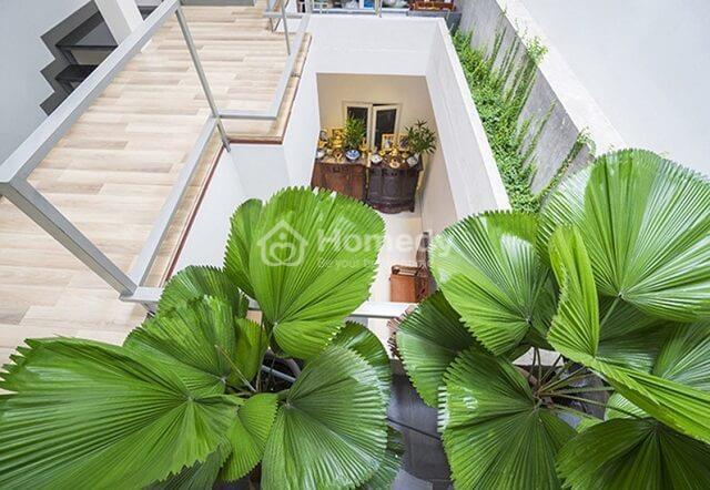 thong-tang-la-gi-22