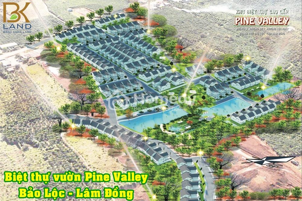 Dự án Pine Valley
