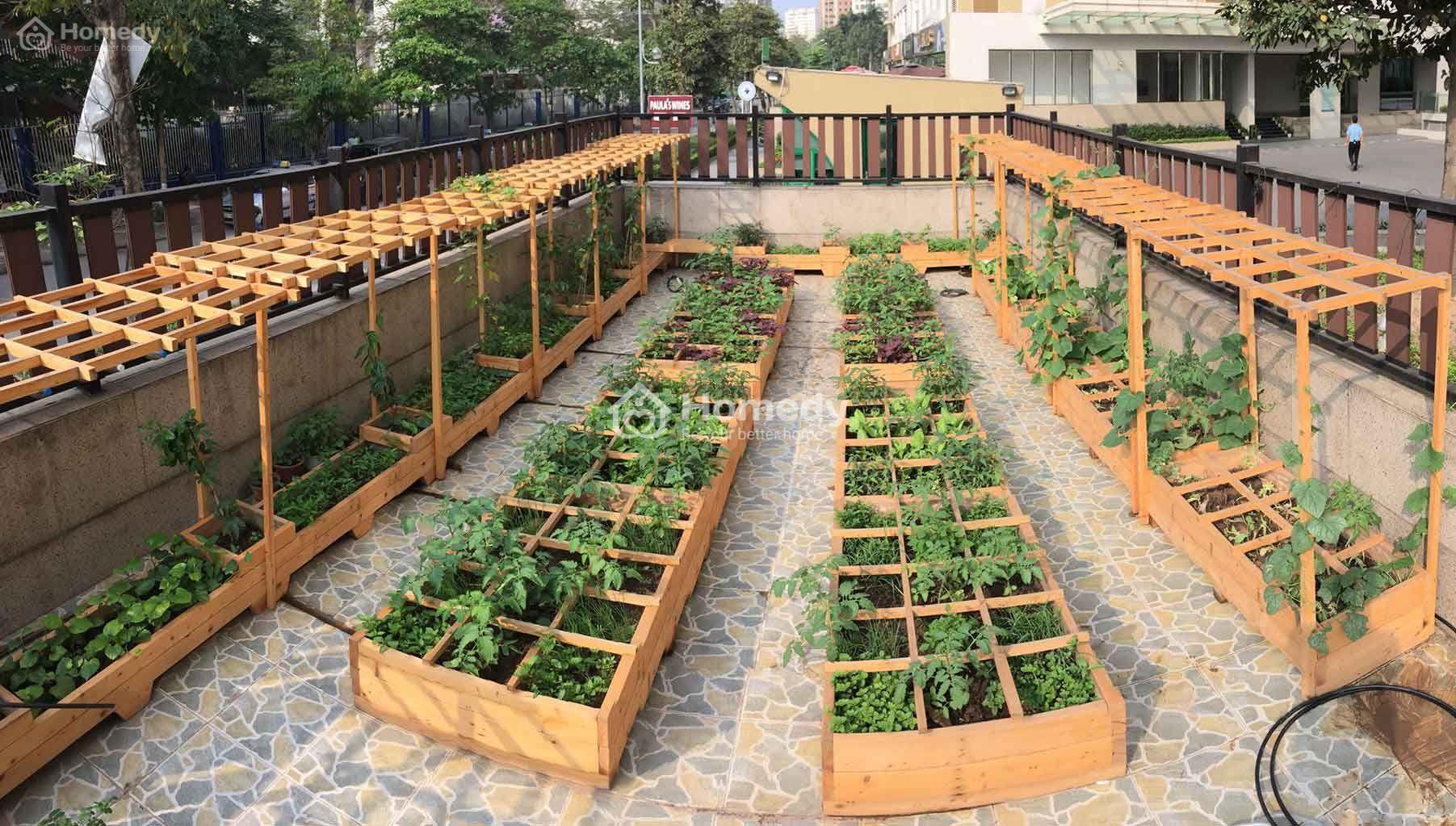 Thiết kế các khuôn gỗ để trồng rau trên sân thượng.