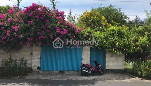 Lựa chọn 8 lô đất đẹp Lạc Long Quân, Tiến Thành, Phan Thiết (9/2025) - Ảnh 1