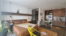 Siêu căn hộ xịn xò đẹp bao phí chỉ tính điện Quận 2, TP Hồ Chí Minh - Ảnh 18