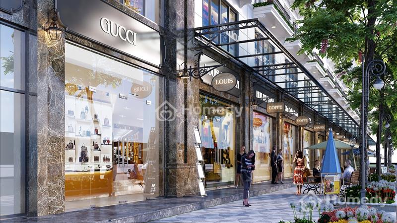 Bán nhà phố thương mại shophouse quận Lào Cai - Lào Cai giá 6.00 Tỷ - Ảnh 3