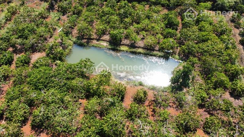 Bán mảnh đất thích hợp làm nhà vườn, nghỉ dưỡng - Ảnh 8