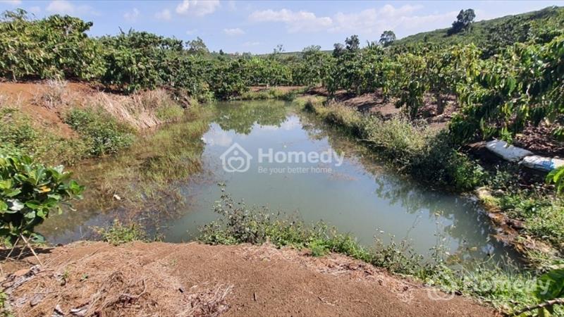 Bán mảnh đất thích hợp làm nhà vườn, nghỉ dưỡng - Ảnh 3