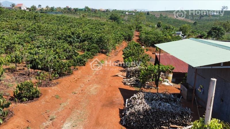 Bán mảnh đất thích hợp làm nhà vườn, nghỉ dưỡng - Ảnh 4