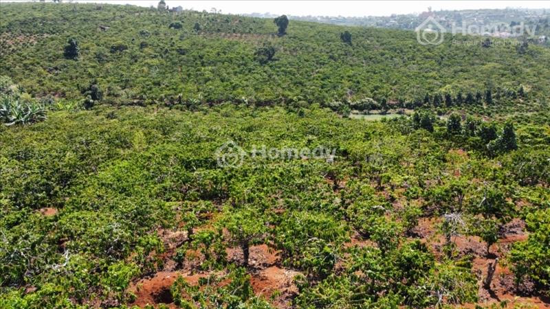 Bán mảnh đất thích hợp làm nhà vườn, nghỉ dưỡng - Ảnh 10