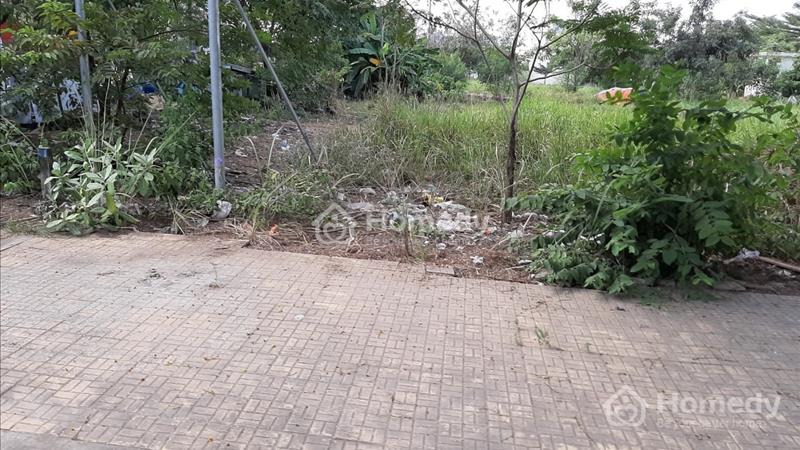 Bán đất sổ hồng dự án Sở Văn Hóa - xuất nhập khẩu Phú Hữu quận 9, 10x21m, giá 55 triệu/m2 - Ảnh 2