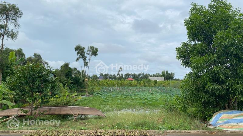 Bán đất thổ cư tại thị xã Kiến Tường, Long An - Ảnh 2