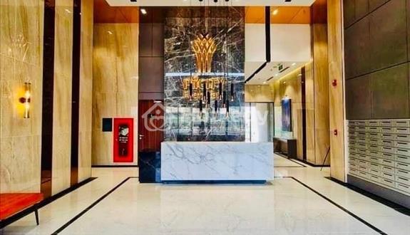 Chung cư PiCity cao cấp từ 2.1 tỷ, 50 - 80m2 bàn giao cuối 2021 liền kề Gò Vấp, LH phòng kinh doanh - Ảnh 1