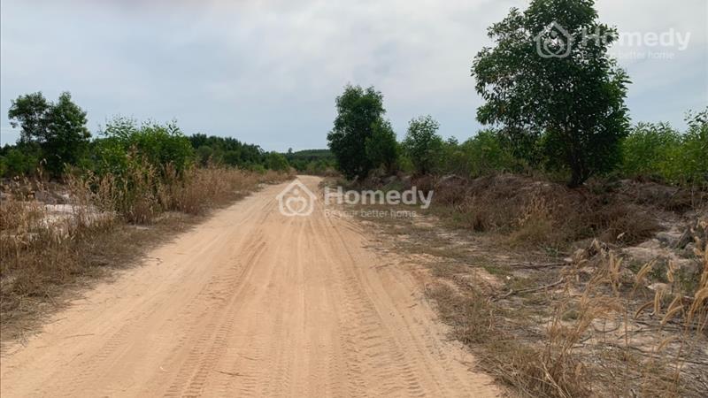 Bán đất 270m mặt tiền kênh mương Tân Bình - La Gi - Bình Thuận giá 12.5 tỷ - Ảnh 7