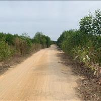 Bán đất 270m mặt tiền kênh mương Tân Bình - La Gi - Bình Thuận giá 12.5 tỷ