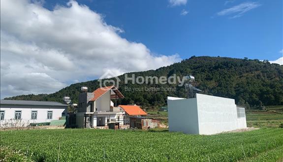 Bán đất khu đô thị Liên Nghĩa - khu kinh tế trọng điểm - dân cư hiện hữu - Ảnh 1