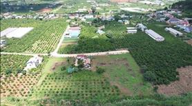 Chính chủ bán lỗ lô  đất thu hồi vốn tại thôn 1 giá tốt tại Mê Linh - Lâm Hà chỉ 1.450 tỷ - Ảnh 2