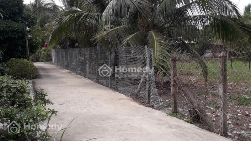 Cần bán lô An Sơn 32 Thuận An, Bình Dương diện tích 15,4x32m thổ cư 100m² LH 0974218171 - Ảnh 5