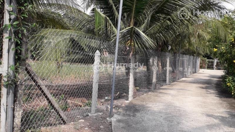 Cần bán lô An Sơn 32 Thuận An, Bình Dương diện tích 15,4x32m thổ cư 100m² LH 0974218171 - Ảnh 3