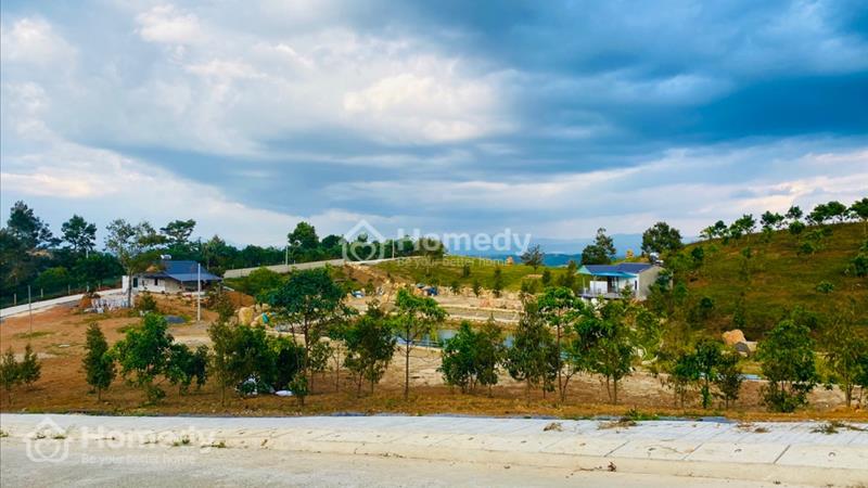 Thanh lý vài nền biệt thự gần trung tâm Bảo Lộc và ngay dự án tập đoàn Hưng Thịnh - Ảnh 9
