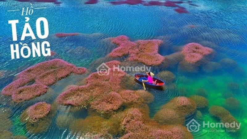 Kẹt tiền bán lỗ nền biệt thự view đồi săn mây tuyệt đỉnh, sổ sẵn thổ cư  - Ảnh 1