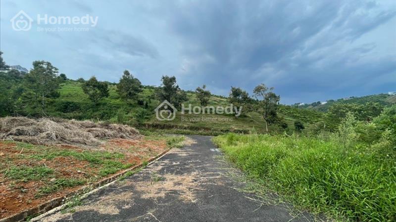 Vỡ nợ bán lỗ, bán lô góc sẵn thổ cư 3 mặt tiền hẻm Nguyễn An Ninh, Đambri, Bảo Lộc - Ảnh 1