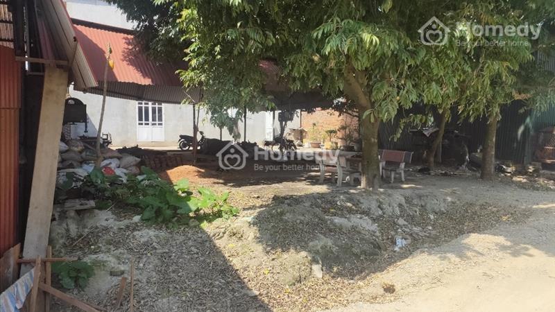 Bán gấp lô đất Yên Phong đường ô tô giá rẻ - Ảnh 1