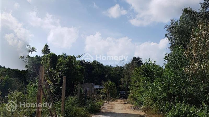 Bán đất Phú Quốc - Kiên Giang full thổ cư sổ nhiều homestay - Ảnh 1