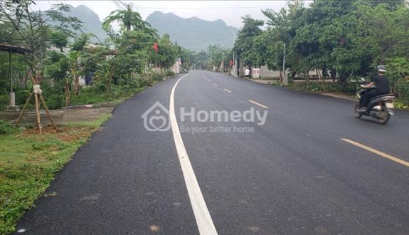 Chính chủ cần bán đất mặt đường áp phan rộng 15m xã Cúc Phương, huyện Nho Quan, tỉnh Ninh Bình - Ảnh 1