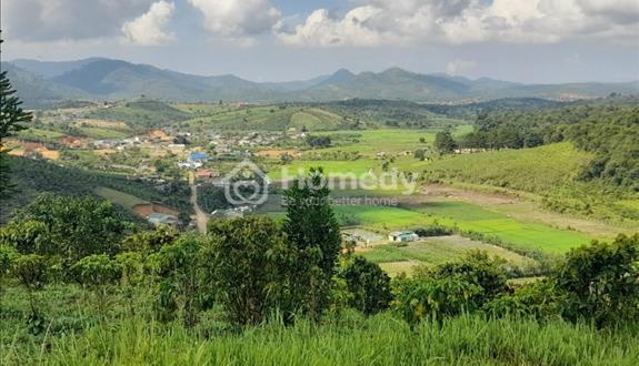 Bán 2 ha đất cafe - thu 15tấn /năm thế đất triền đồi có suối , cách đường 724 300m - chỉ 7tỷ - Ảnh 1