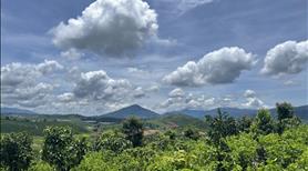 Bán 2 ha đất cafe - thu 15tấn /năm thế đất triền đồi có suối , cách đường 724 300m - chỉ 7tỷ - Ảnh 3