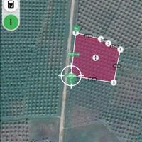 Bán đất sào Thị trấn Ma Lâm, Huyện Hàm Thuận Bắc, Bình Thuận  