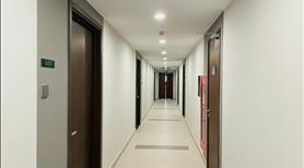 Chung cư PiCity cao cấp từ 2.1 tỷ, 50 - 80m2 bàn giao cuối 2021 liền kề Gò Vấp, LH phòng kinh doanh - Ảnh 3