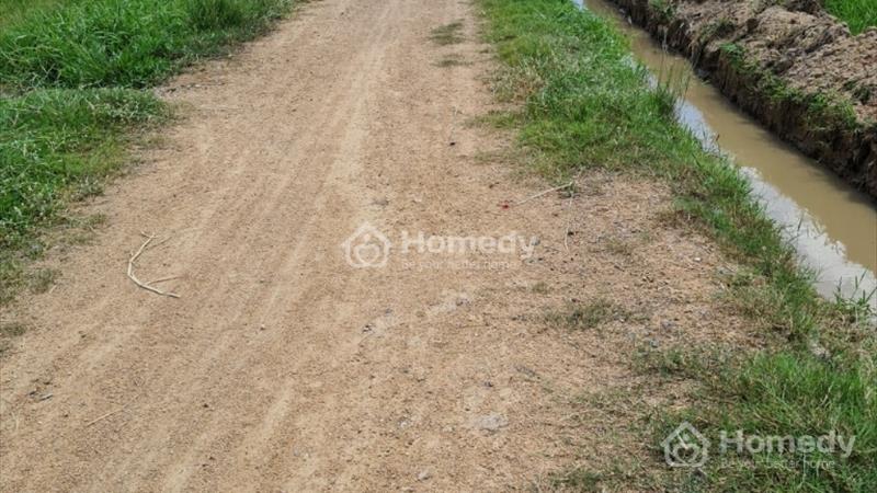 Bán đất sào Thị trấn Ma Lâm, Huyện Hàm Thuận Bắc, Bình Thuận   - Ảnh 3