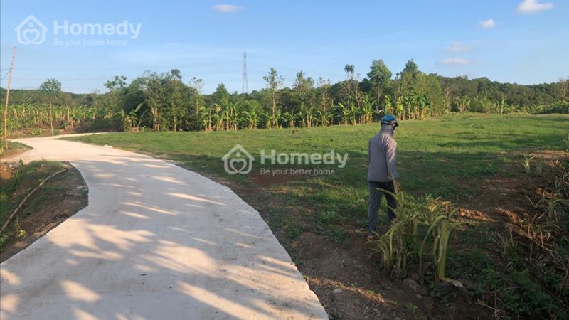 Bán đất xã Thừa Đức huyện Cẩm Mỹ, Đồng Nai liên hệ - Ảnh 1